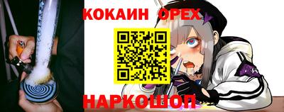 сатива Кунгур