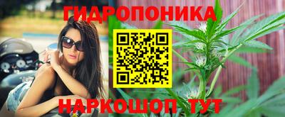 сатива Кунгур