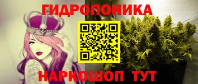 сатива Кунгур